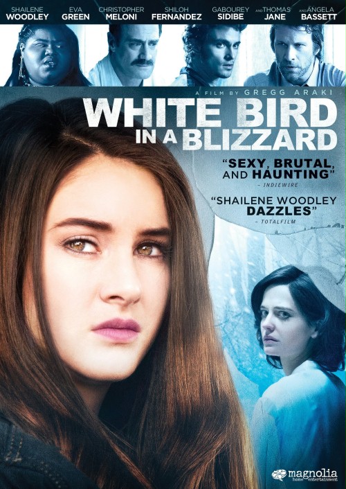 Biały ptak w zamieci cały film CDA online