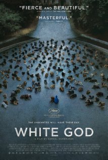 Biały Bóg cały film CDA online
