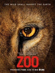 Zoo zalukaj online