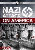 Atak nazistów na Stany Zjednoczone