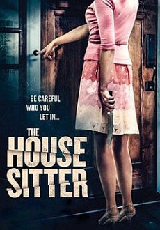 The House Sitter aka Welcome Home cały film Vider