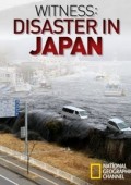 Kataklizm w Japonii oczami świadków