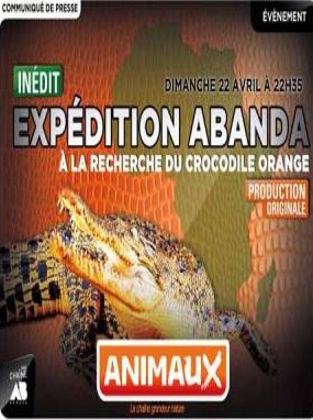 W poszukiwaniu pomarańczowego krokodyla