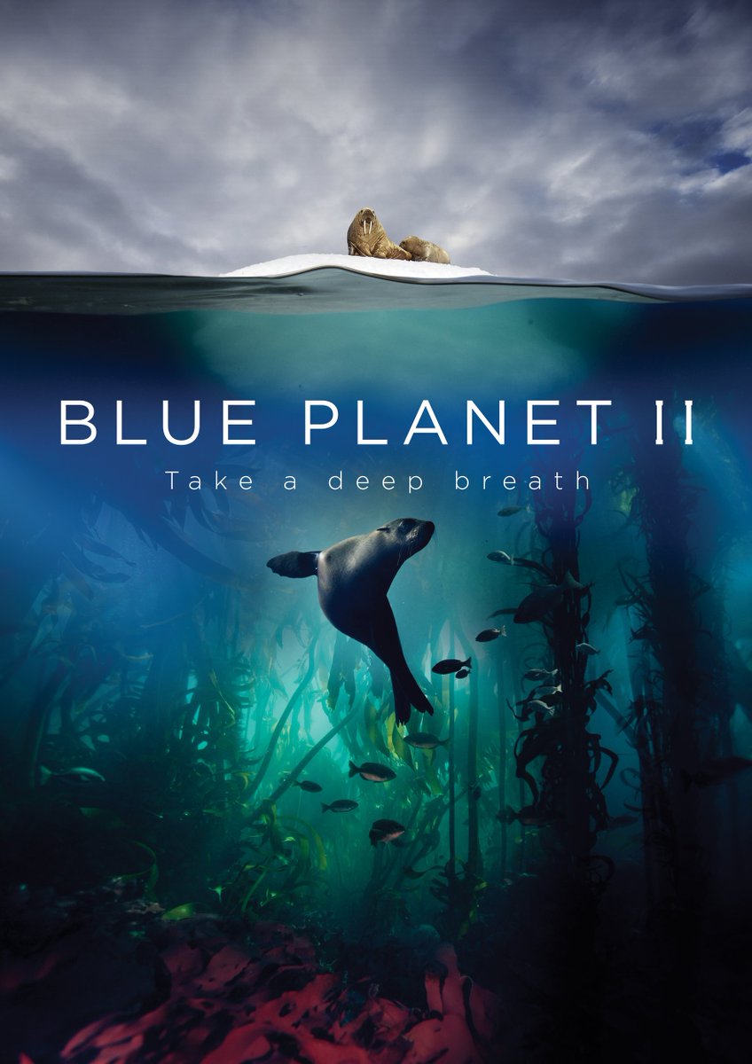 Blue Planet II zalukaj online