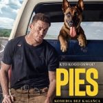 Pies (2022)