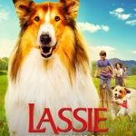 Lassie. Nowe przygody cda vider